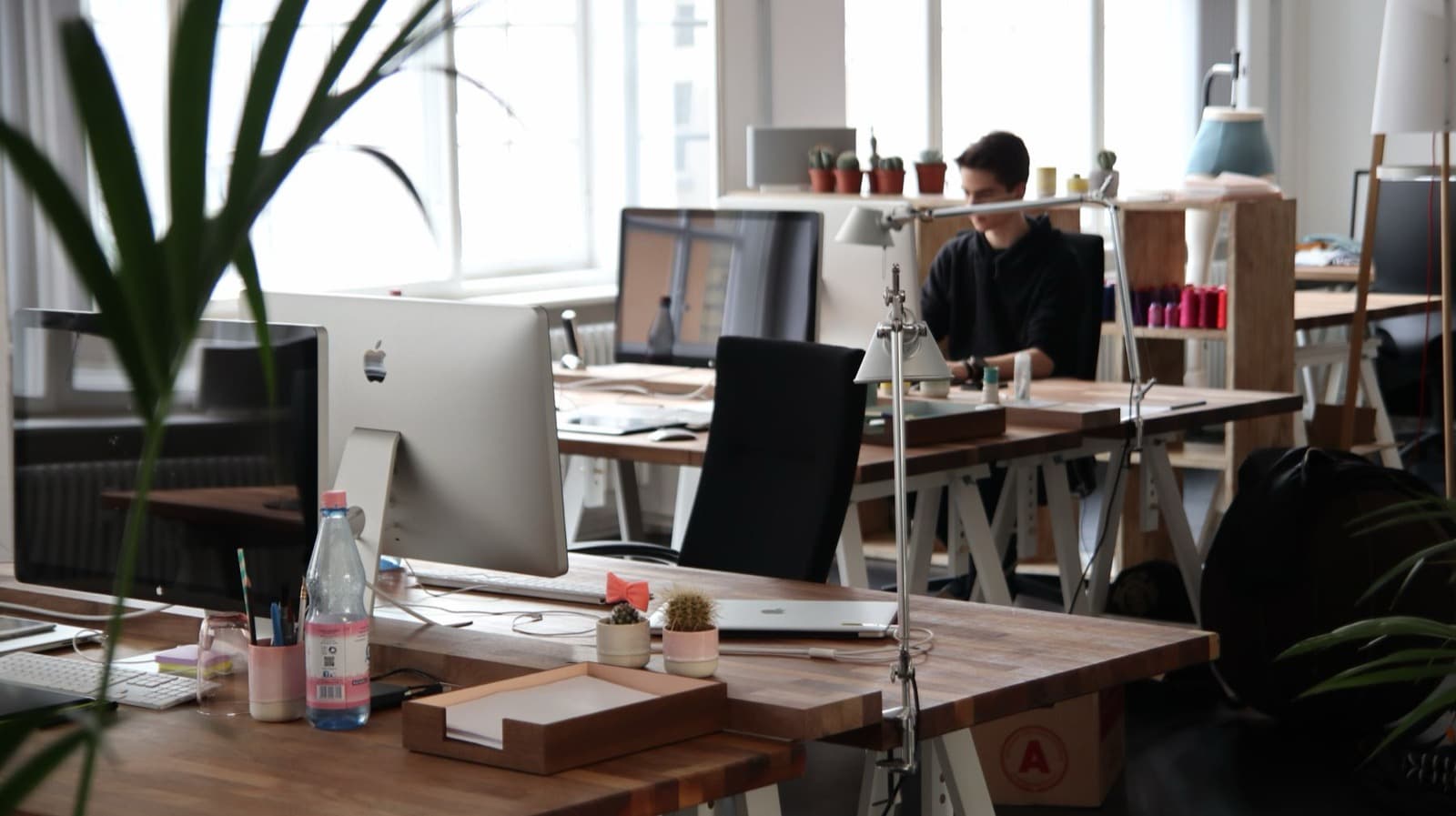 A studio office with wooden desks, plants and monitors, one person working at the back.